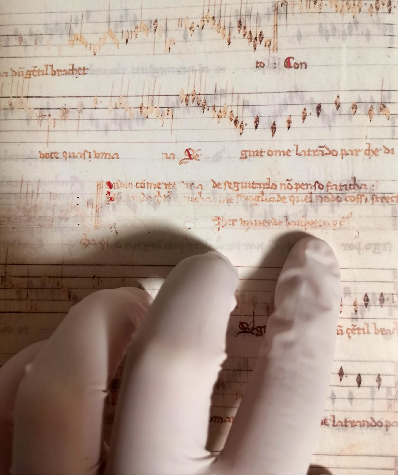 Marginalia — Lucca Codex