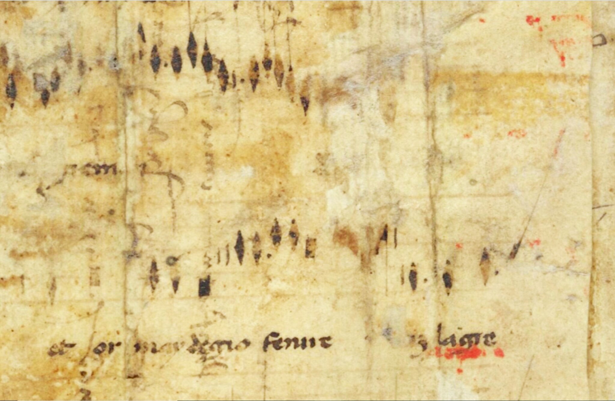 Marginalia — Programma
